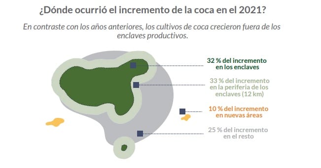 cultivo de coca